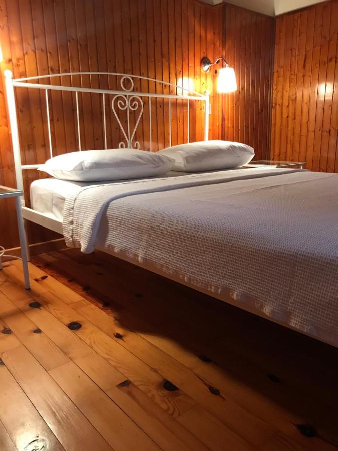 9Mouses Chasiotis Guest House Ampelakia エクステリア 写真