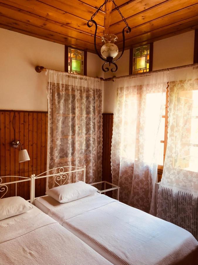 9Mouses Chasiotis Guest House Ampelakia エクステリア 写真