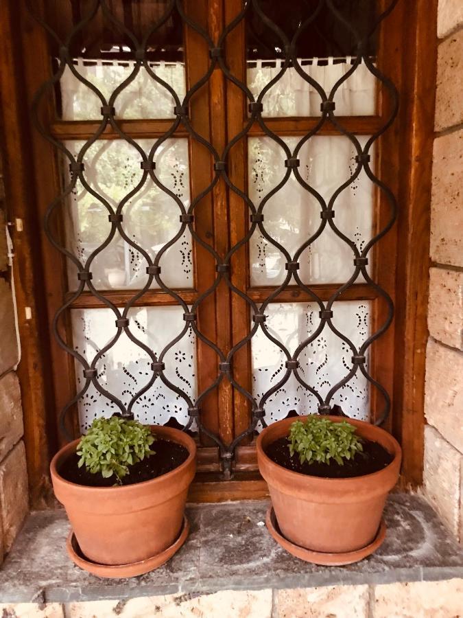 9Mouses Chasiotis Guest House Ampelakia エクステリア 写真