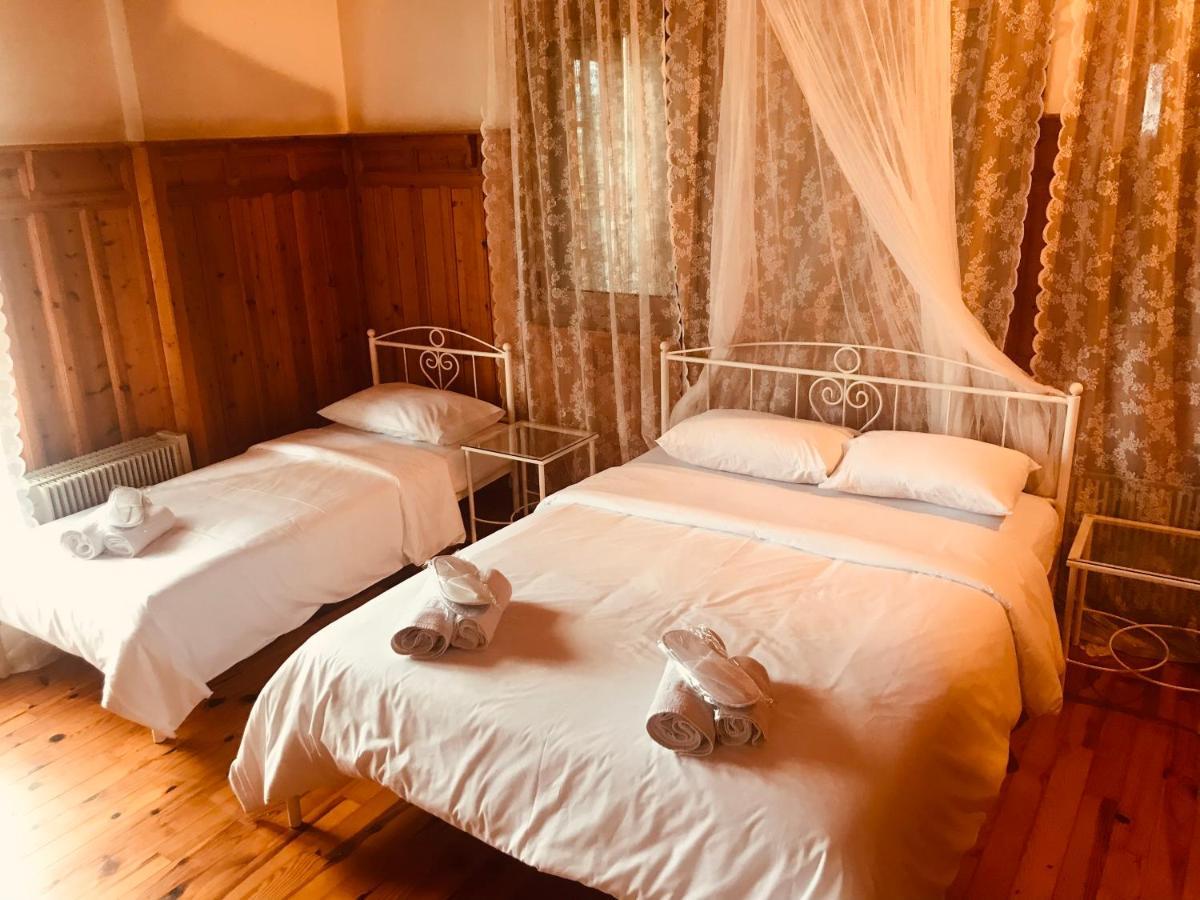 9Mouses Chasiotis Guest House Ampelakia エクステリア 写真
