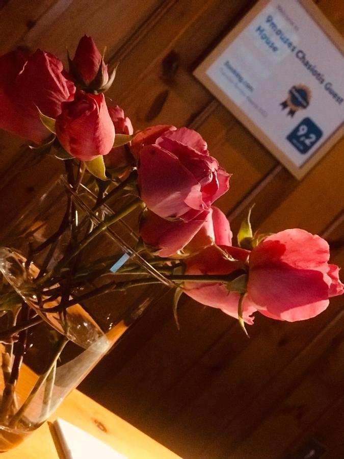 9Mouses Chasiotis Guest House Ampelakia エクステリア 写真